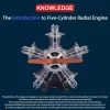 DIY 1/6 Full Metal 5 Cylinder Radial Engine Model Kit that Works 250+Pcs Premium Edition 16 MachinedFlame